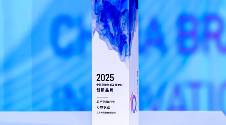 2025中国品牌发展创新论坛创新品牌