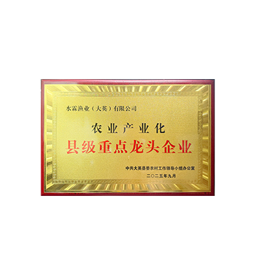 县级龙头2