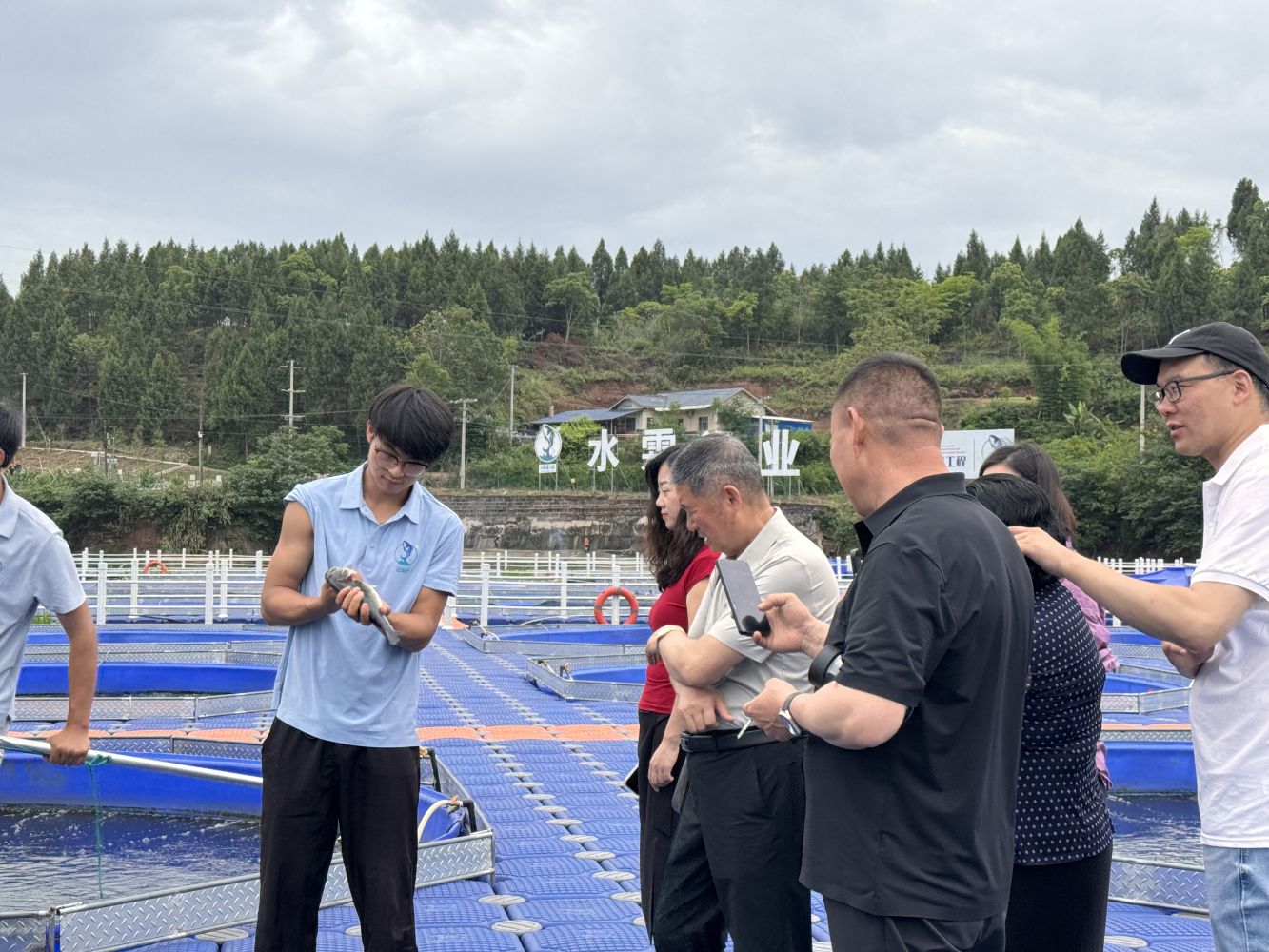 河北省招商引资促进会专赴水霖渔业：省级招商平台为何盯上“科技养鱼”？