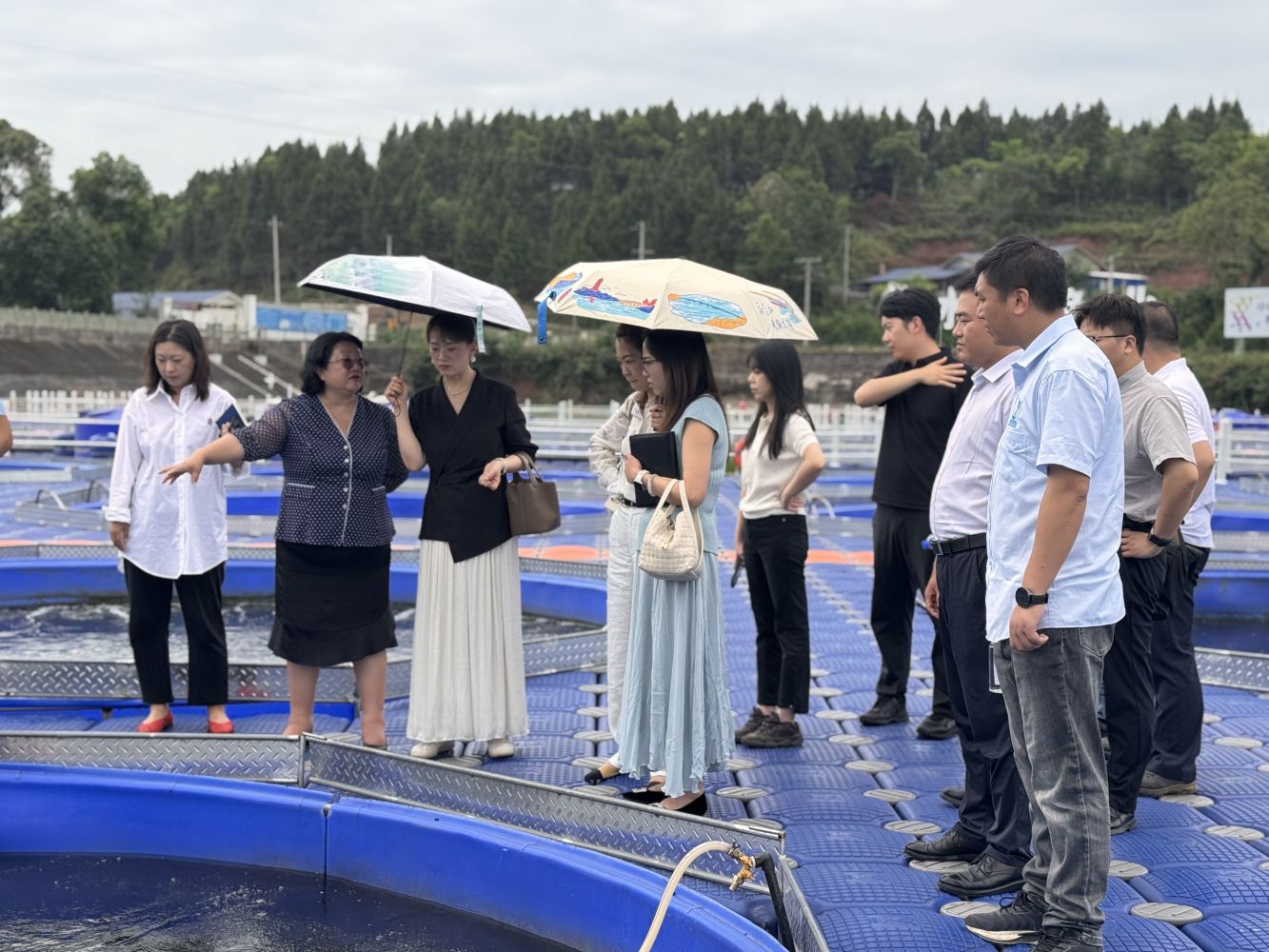 引领智慧渔业新变革：内江高投考察万霖集团WRAFES系统，共推四川生态养殖示范合作
