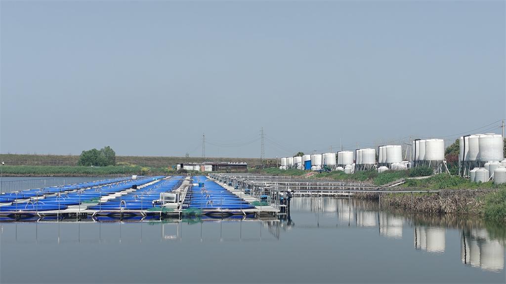 湖北洪湖