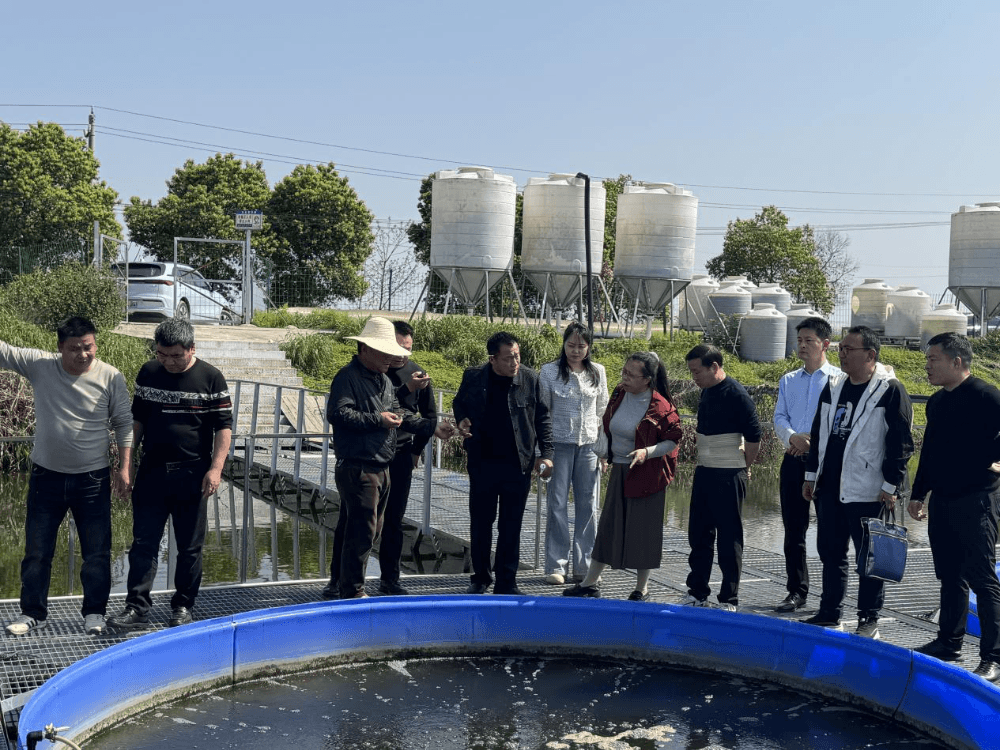 洪湖市农业局领导一行莅临水霖渔业洪湖基地参观考察