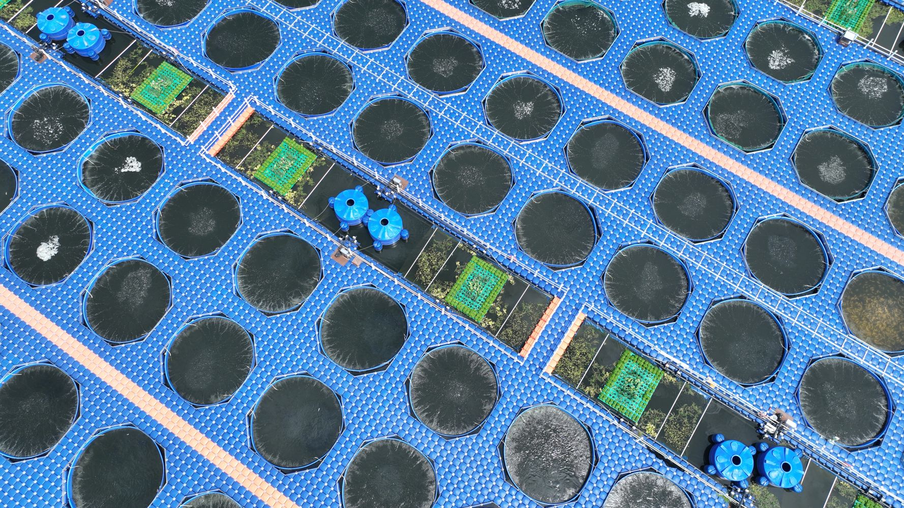 水霖渔业再添两项实用新型专利，WRAFES技术壁垒持续夯实