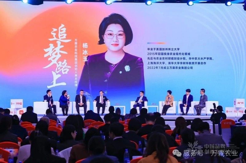 江苏水霖渔业闪耀第十届中国品牌创新发展论坛，斩获两项大奖！