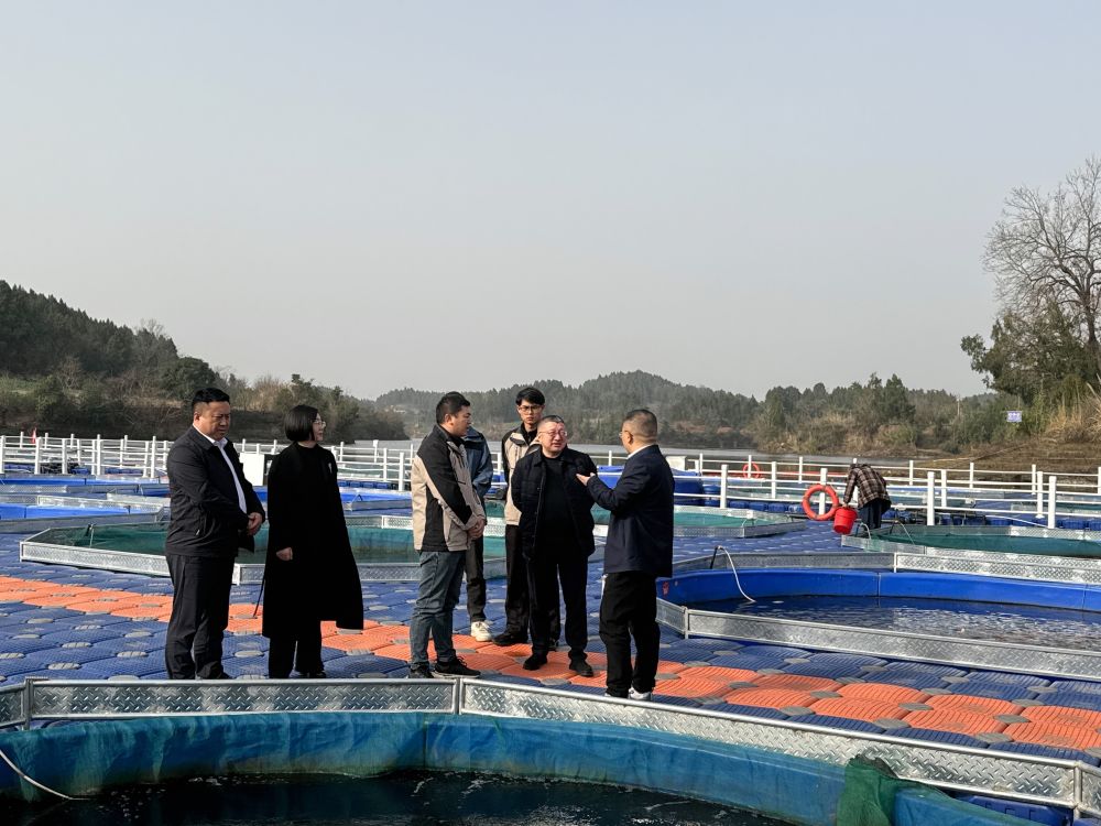 强化监管助推产业升级：遂宁市及大英县领导调研水霖渔业与洋珑对虾产业基地，共绘绿色全产业链蓝图