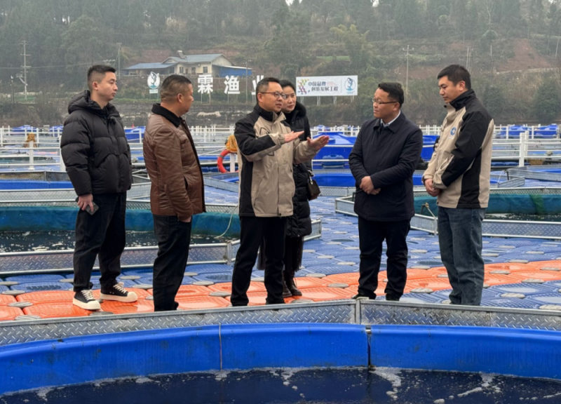 内江科技发展集团莅临水霖渔业，共探水库循环水养殖科技化之路
