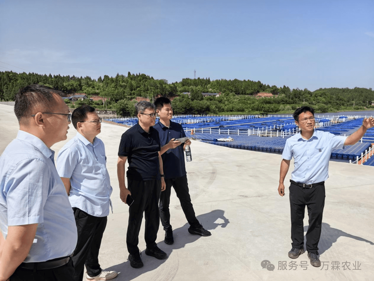 携手共拓绿色未来丨华航环境赴水霖渔业调研WRAS系统 共谋广东水库生态养殖新蓝图