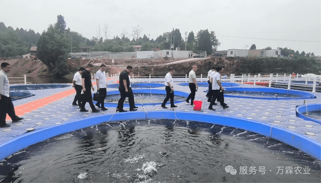 创新引领绿色发展 科技赋能生态养殖——遂宁市领导莅临水霖渔业四五水库养殖基地