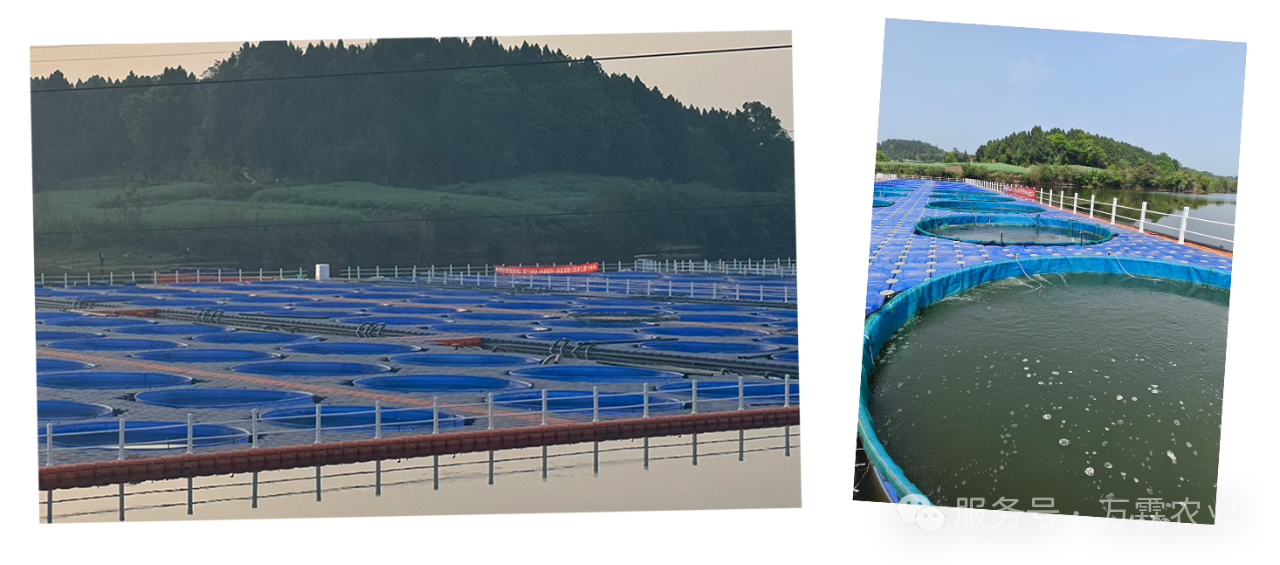 ff65746f41ad676e7512f2979f60b74c.png