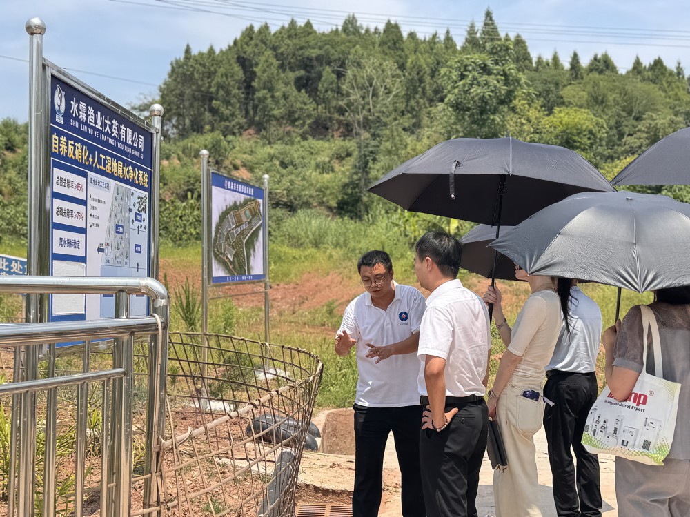 “万亿级”省属平台公司赴水霖渔业大英基地考察调研