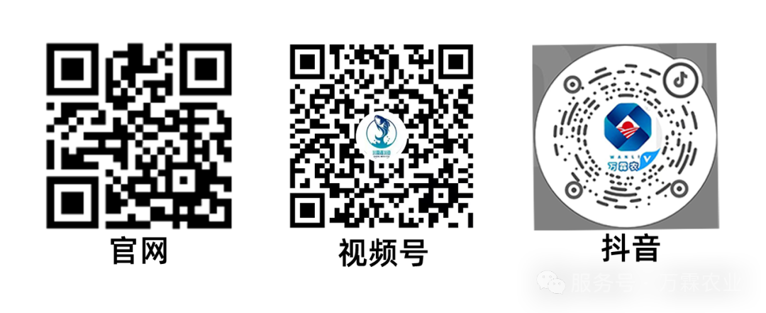 e789bdd6613f0a610e916fc160244cfb.png