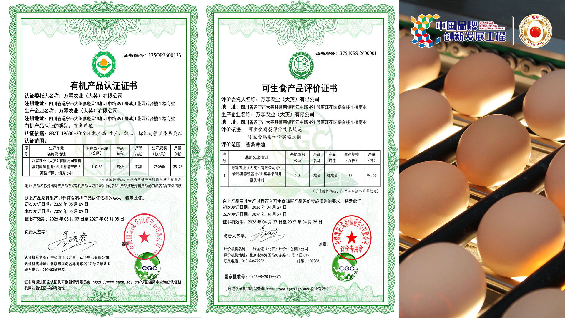 万霖新闻|可生食鸡蛋荣获权威认证，未来旗下鸡蛋品牌将升级为“天号”