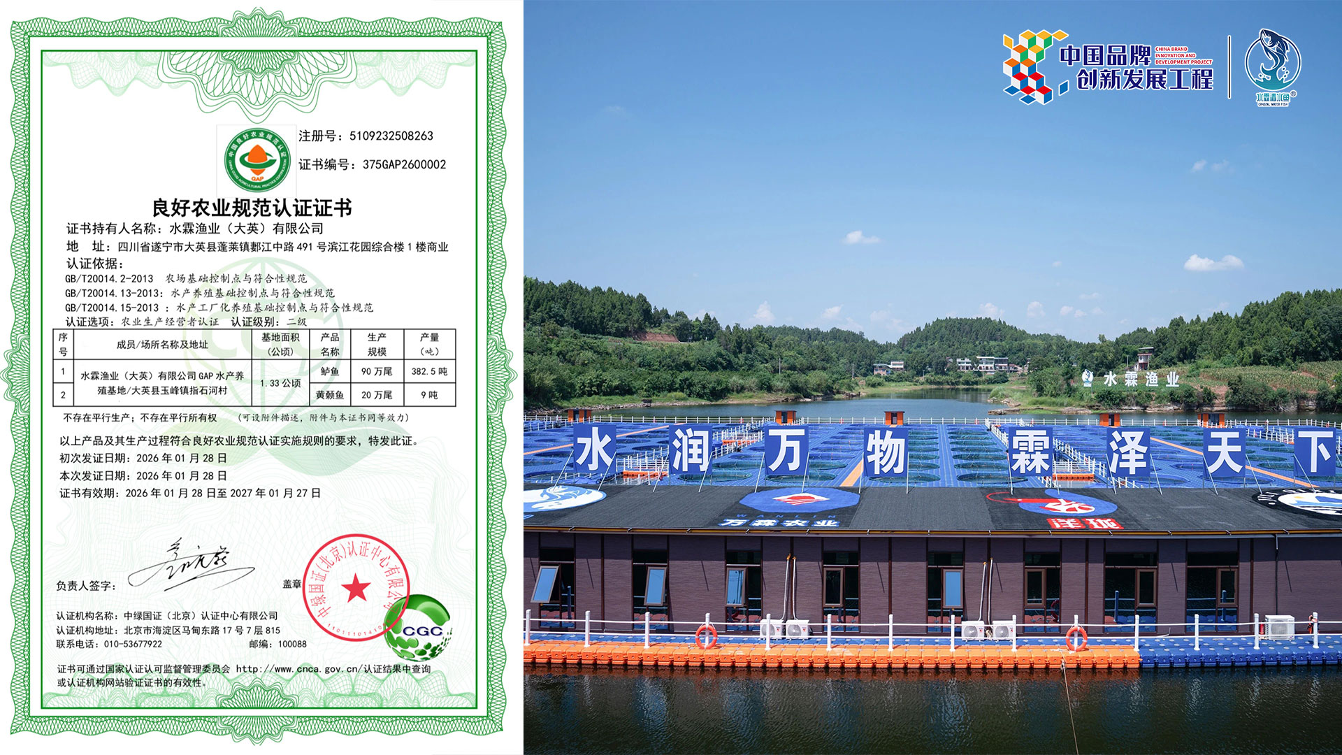 水霖渔业（大英）获GAP认证|以国际标准引领高品质鲈鱼养殖新风向