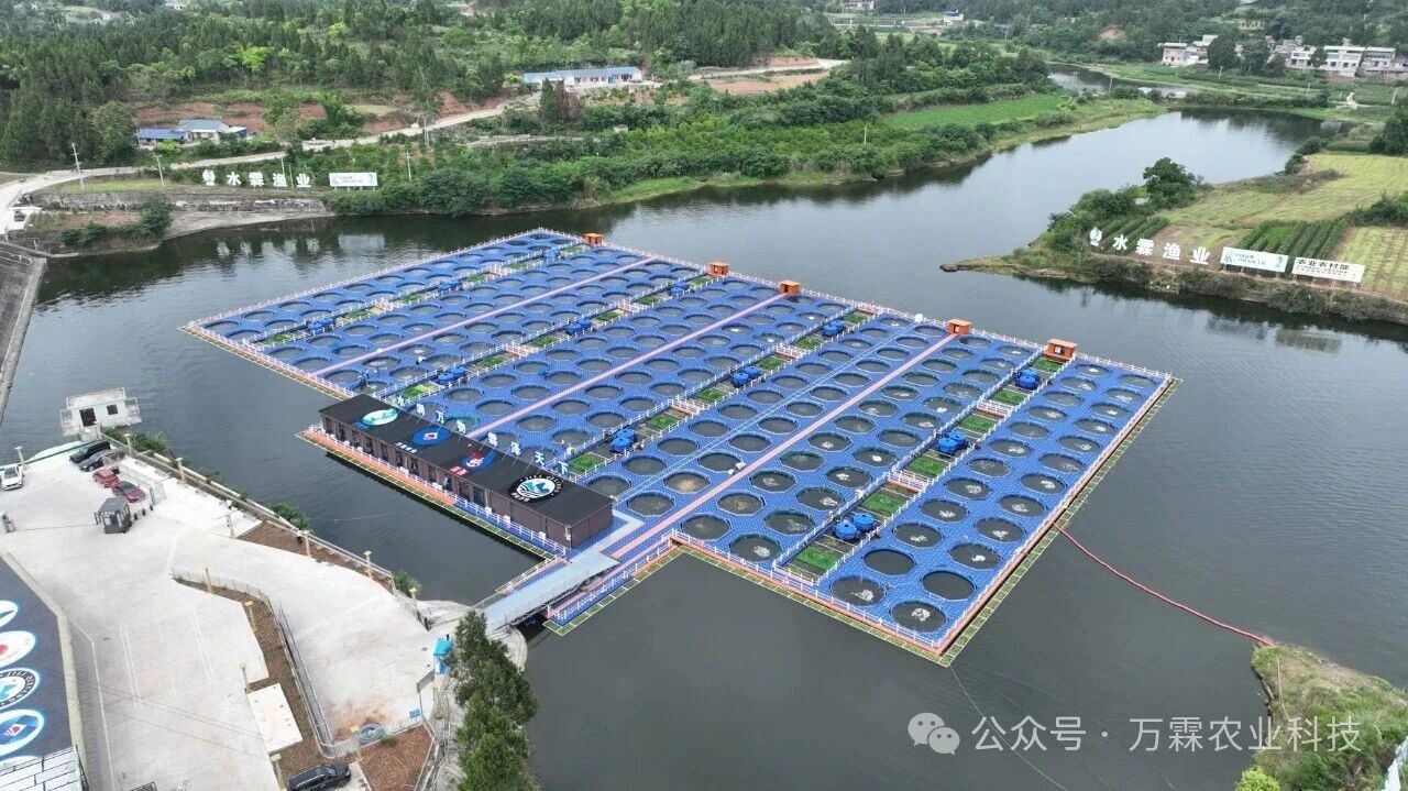 科创实力获认可！水霖渔业入库全国科技型中小企业名单